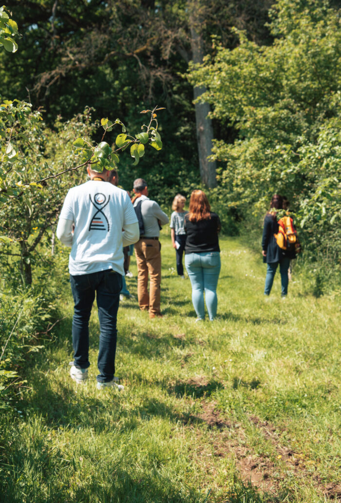 Atelier balade de reconnaissance de plantes comestibles avec Enza Chaffron